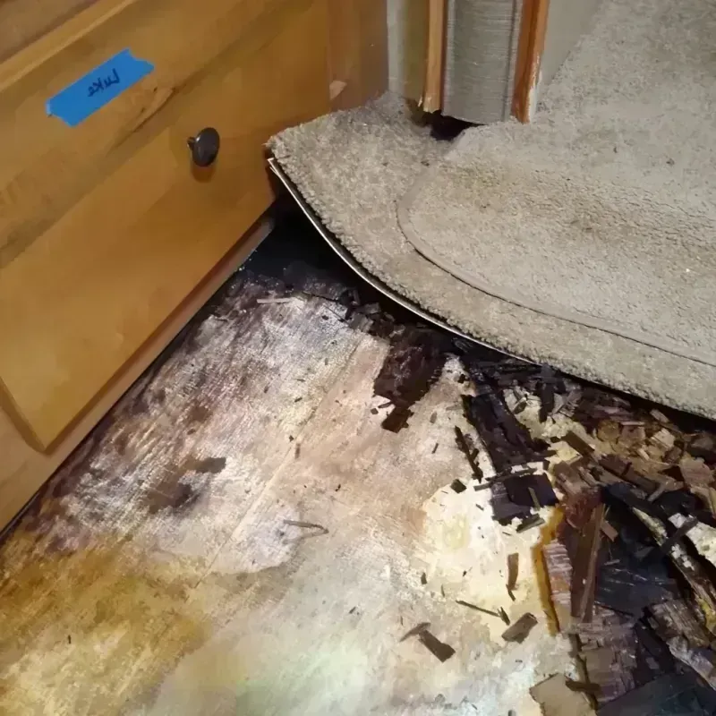 Best Wood Floor Water Damage Service in Rubidoux, CA